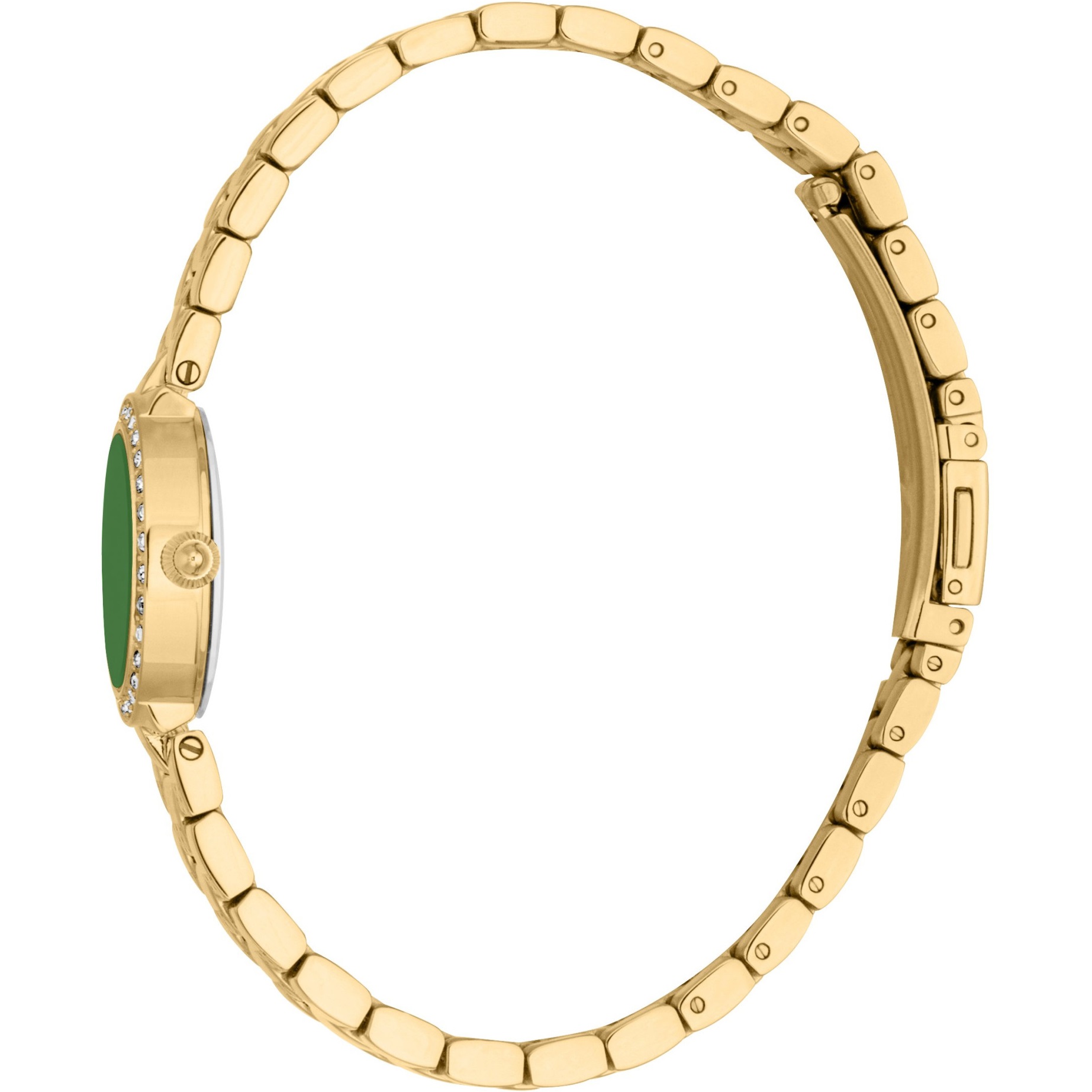 JUST CAVALLI Mini Serenata Green Dial 23mm Gold Stainless Steel Bracelet JC1L362M0065 - 