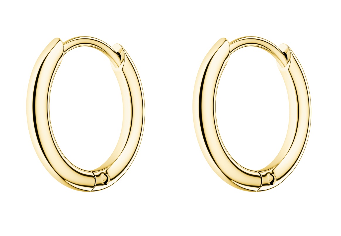 ROSEFIELD Earrings Small Hoops Gold Stainless Steel JESHG-J581 - 