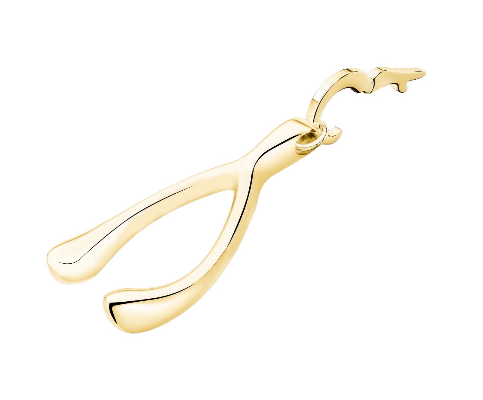 ROSEFIELD Pendant Lucky Charm Wishbone PE-LC-WIS - 