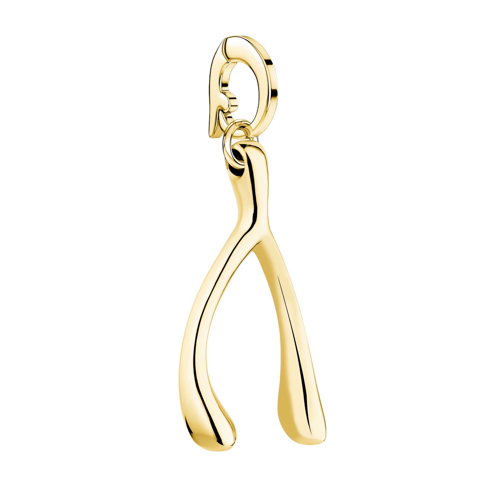 ROSEFIELD Pendant Lucky Charm Wishbone PE-LC-WIS - 3