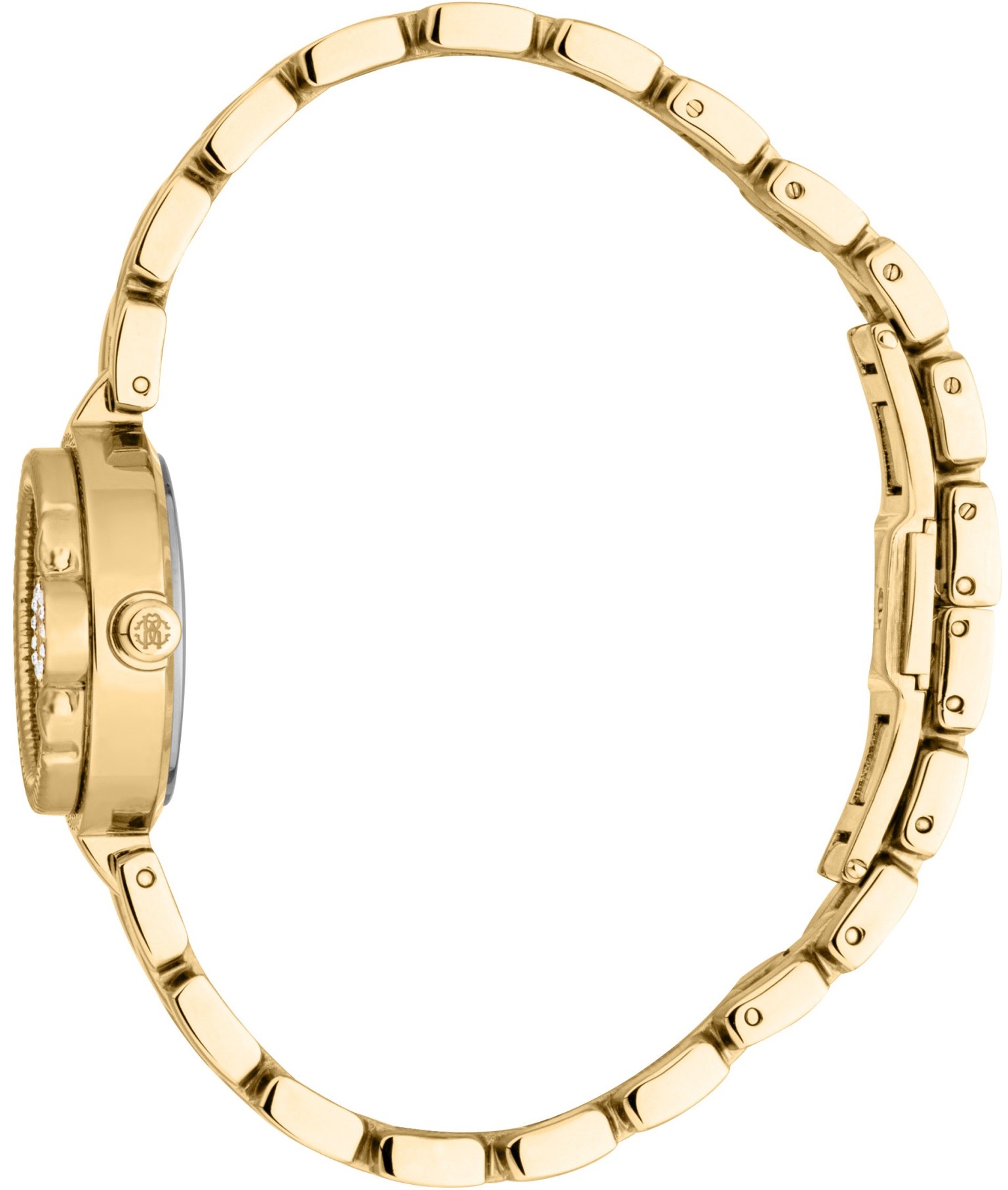 ROBERTO CAVALLI Snake Core Mini Silver Dial 26mm Gold Stainless Steel Bracelet Gift Set RC5L096M0025 - 4