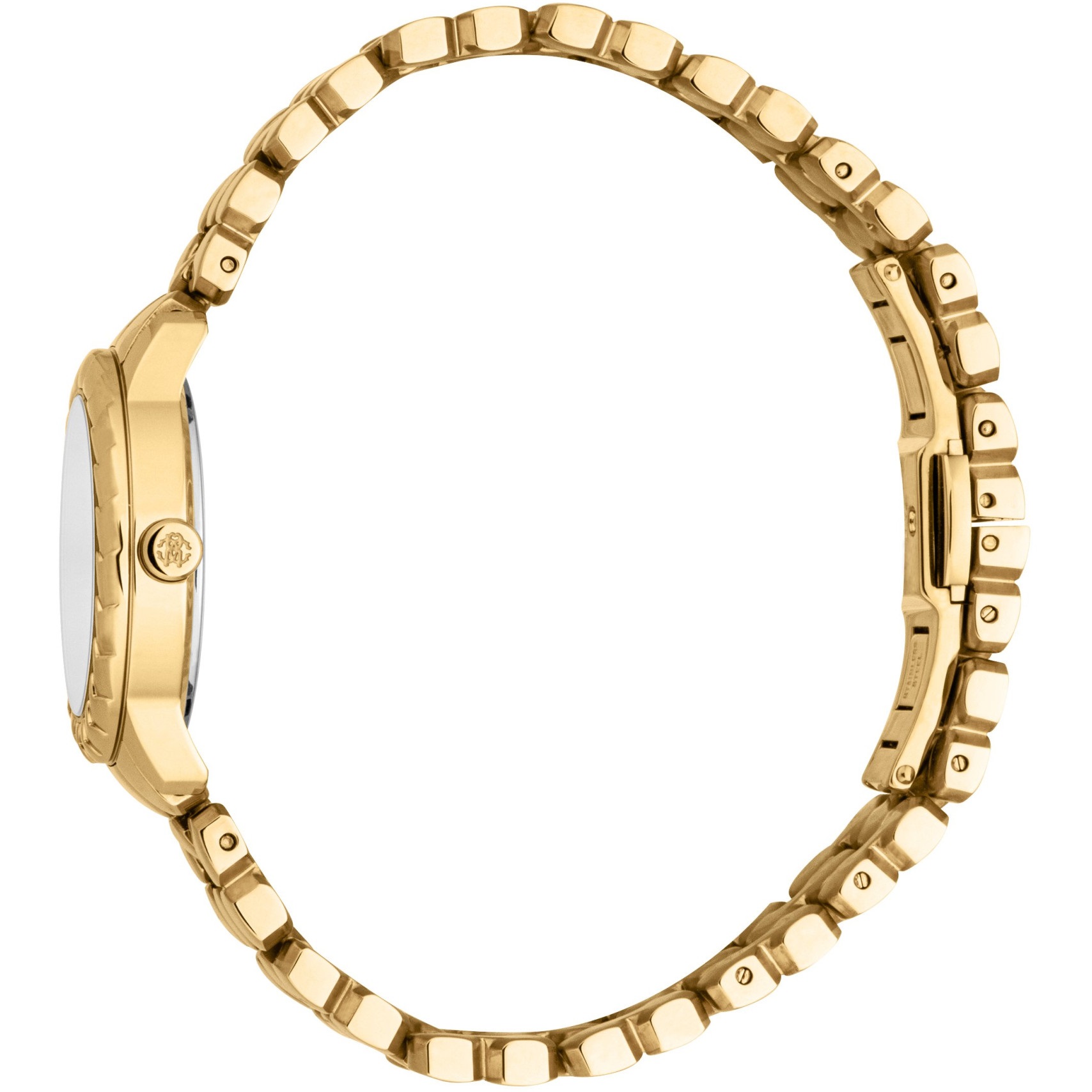 ROBERTO CAVALLI Core Mini Silver Dial 28mm Gold Stainless Steel Bracelet RC5L097M0025 - 