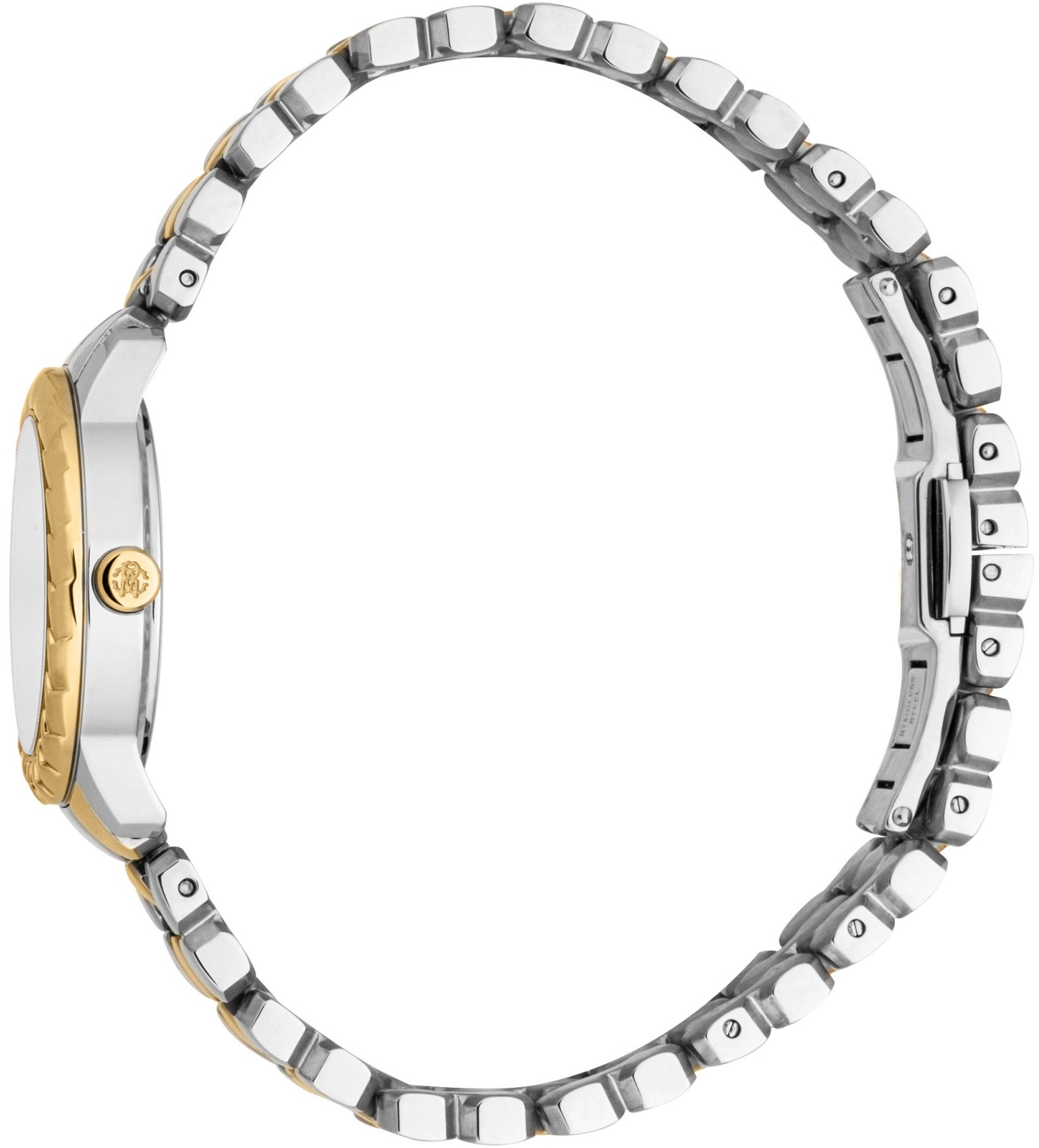 ROBERTO CAVALLI Core Mini Silver Dial 28mm Two Tone Gold Stainless Steel Bracelet RC5L097M0055 - 