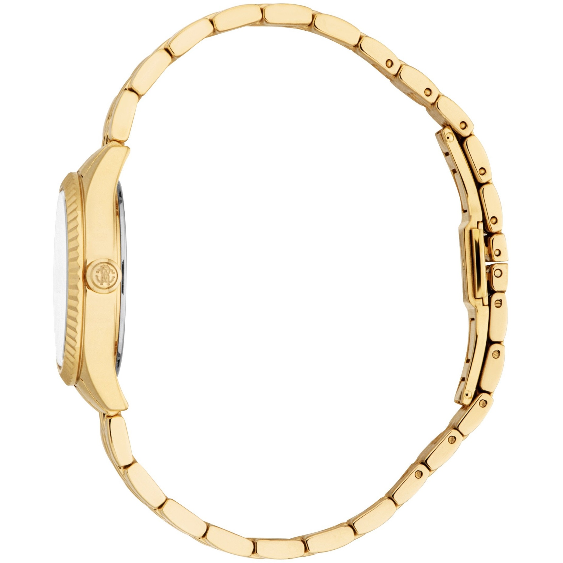 ROBERTO CAVALLI Core Silver Dial 28mm Gold Stainless Steel Bracelet RC5L124M0055 - 