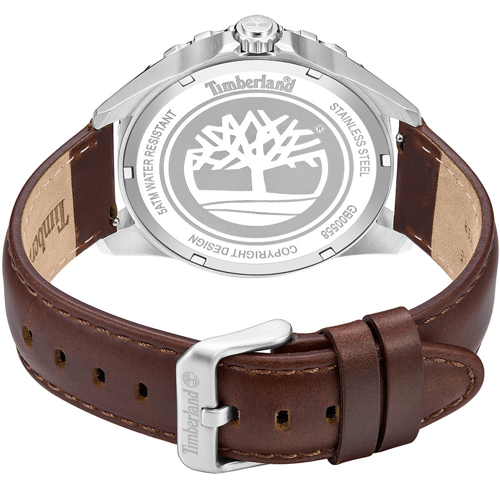 TIMBERLAND Day Pond Green Dial 45mm Silver Stainless Steel Brown Leather Strap TDWGB0055801 - 3