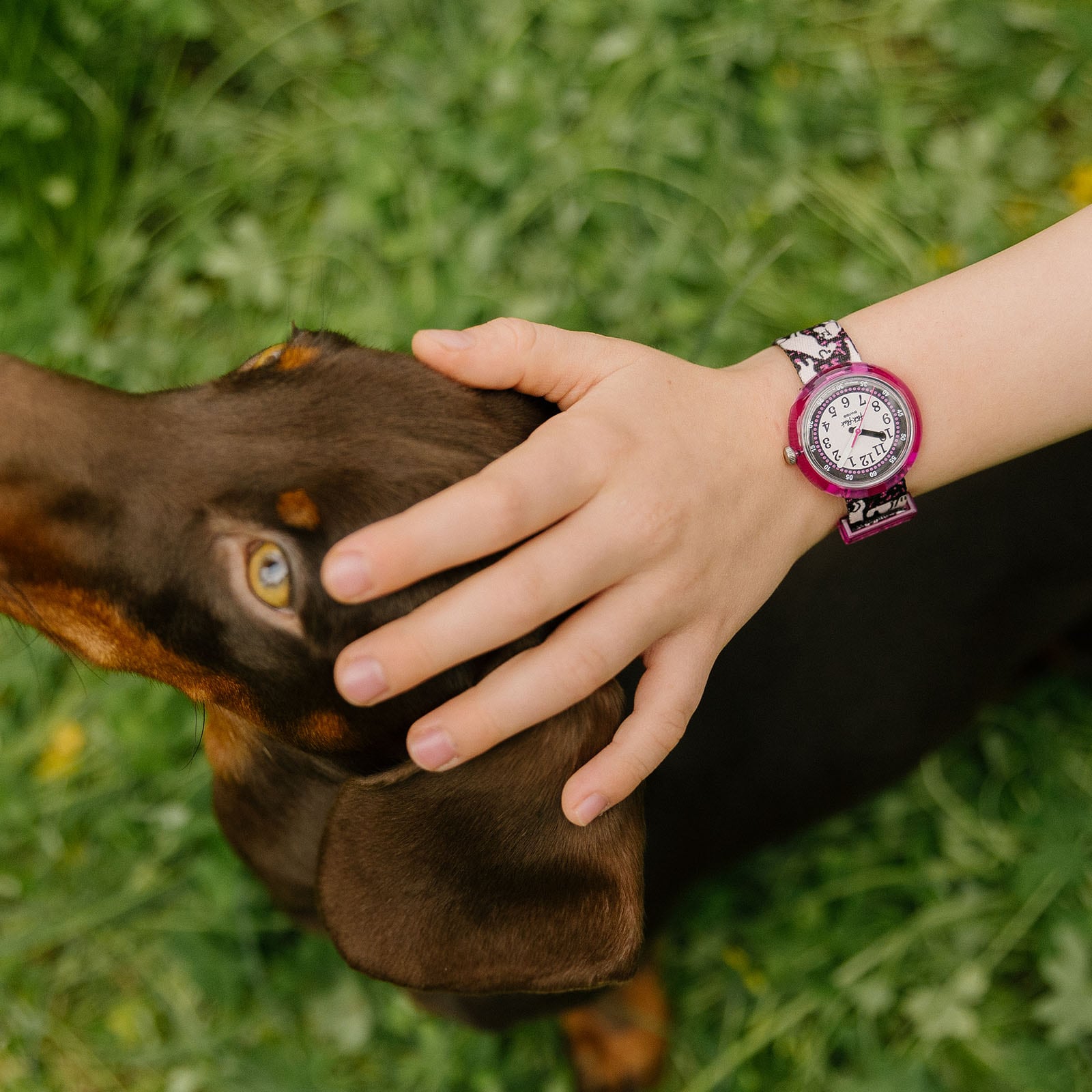 FLIK FLAK Friends Fur-Ever Woof Woof Time 31.85mm Multicolor Fabric Strap ZFPNP163 - 4