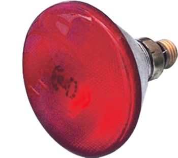  ΘΕΡΜΑΝΤΙΚΗ ΛΑΜΠΑ ΠΤΗΝΩΝ 175W ΣΚΛΗΡΗΣ ΥΑΛΟΥ - 