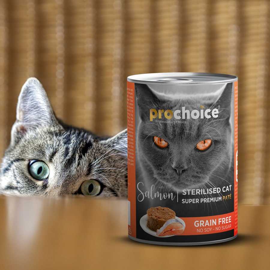 PROCHOICE GRAIN FREE ΥΓΡΗ ΤΡΟΦΗ ΓΑΤΑΣ PATE STERILIZED SALMON 400gr - 3