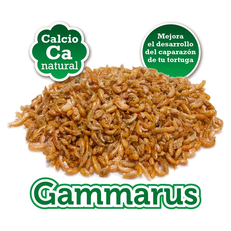 ARQUIVET GAMMARUS ΤΡΟΦΗ ΓΙΑ ΧΕΛΩΝΕΣ 7500ml (ΚΟΥΒΑΣ) - 2