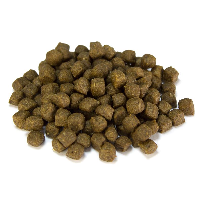 ARQUIVET DOG PUPPY JUNIOR 3KG  - 3