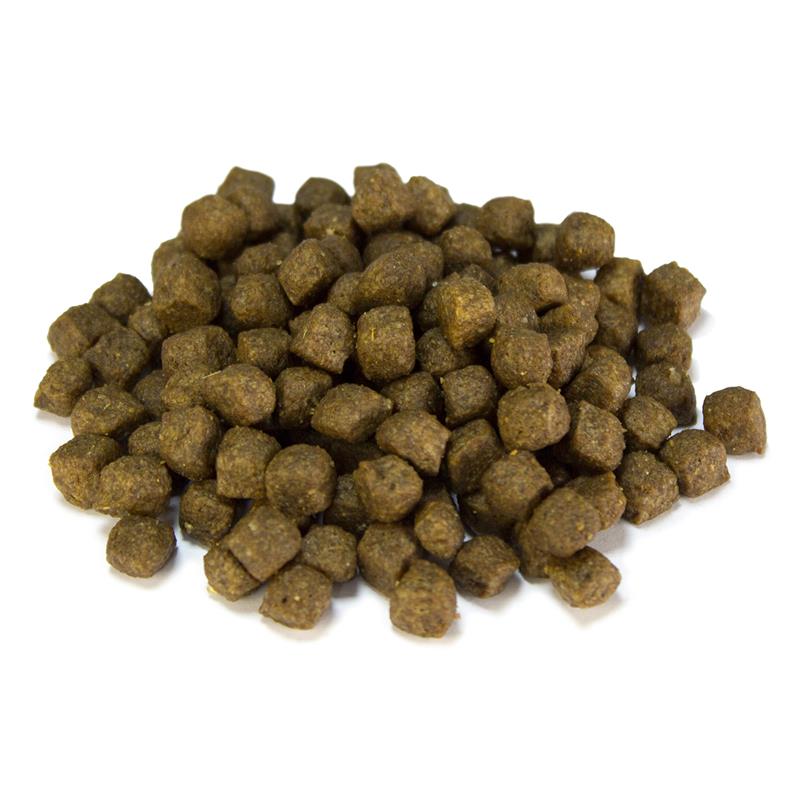 ARQUIVET DOG PUPPY JUNIOR 12KG - 2