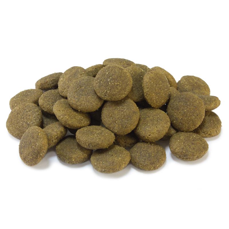 ARQUIVET DOG ADULT MAXI CHICKEN & RICE 12KG - 2