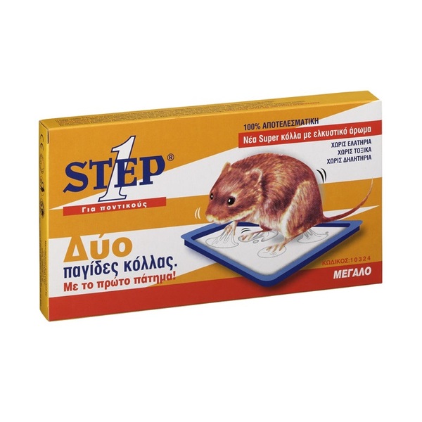 ΠΟΝΤΙΚΟΠΑΓΙΔΑ STEP 1 ΜΕΓΑΛΗ 21.3 X 11.3 CM - 2