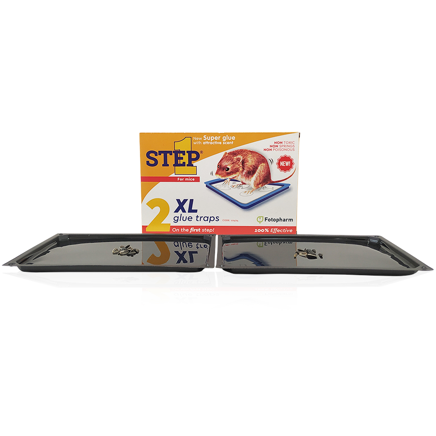 ΠΟΝΤΙΚΟΠΑΓΙΔΑ ΚΟΛΛΑΣ STEP 1 ΜΕΣΑΙΑ 16.3 Χ 8.9 CM - 