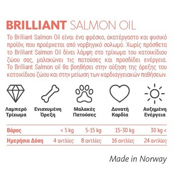 ΛΑΔΙ ΣΟΛΩΜΟΥ BRILLIANT 300ML - 2