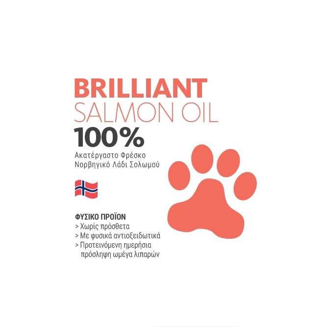 ΛΑΔΙ ΣΟΛΩΜΟΥ BRILLIANT 300ML - 3