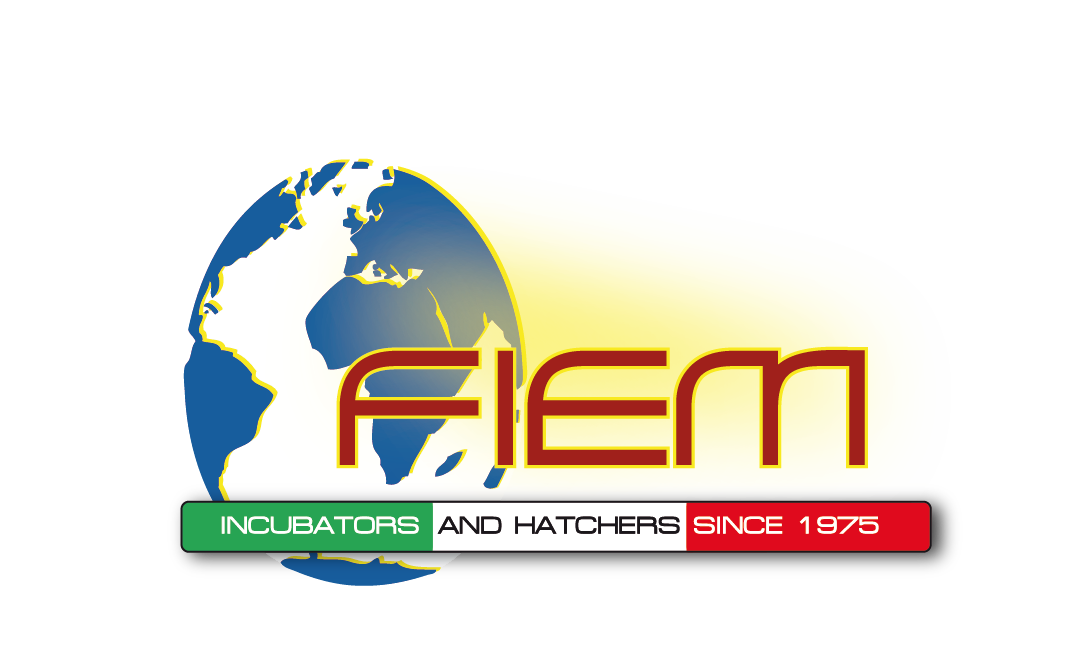 Fiem