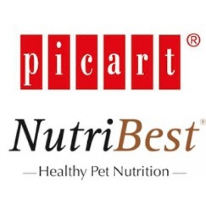 NUTRIBEST PREMIUM CAT JUNIOR CHICKEN & RICE 2KG - 