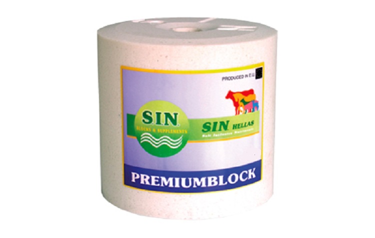 ΠΛΑΚΑ ΛΕΙΞΕΩΣ PREMIUMBLOCK 3 KG - 