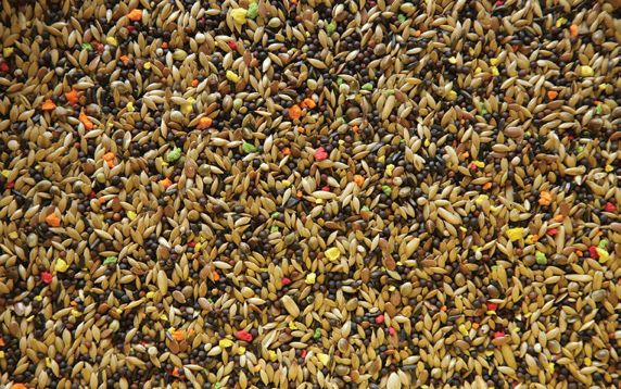 ΚΕΛΑΙΔΙΝΗ FARMA NORMAL 20 KG - 2