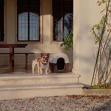 PET CAMELOT ΣΠΙΤΙ ΣΚΥΛΟΥ WHITE-BROWN  Νο2 78 χ 50 χ 50 cm - 2