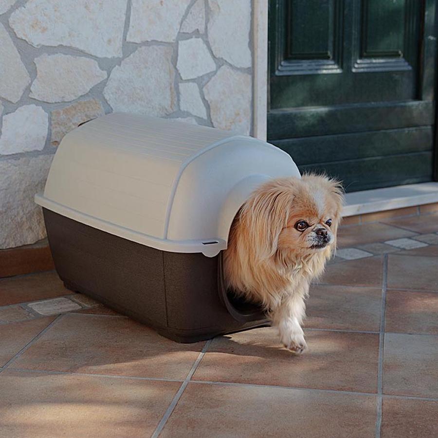 PET CAMELOT ΣΠΙΤΙ ΣΚΥΛΟΥ 1 ΜΙΝΙ WHITE-BROWN 66 Χ 40 Χ Υ 40cm - 2