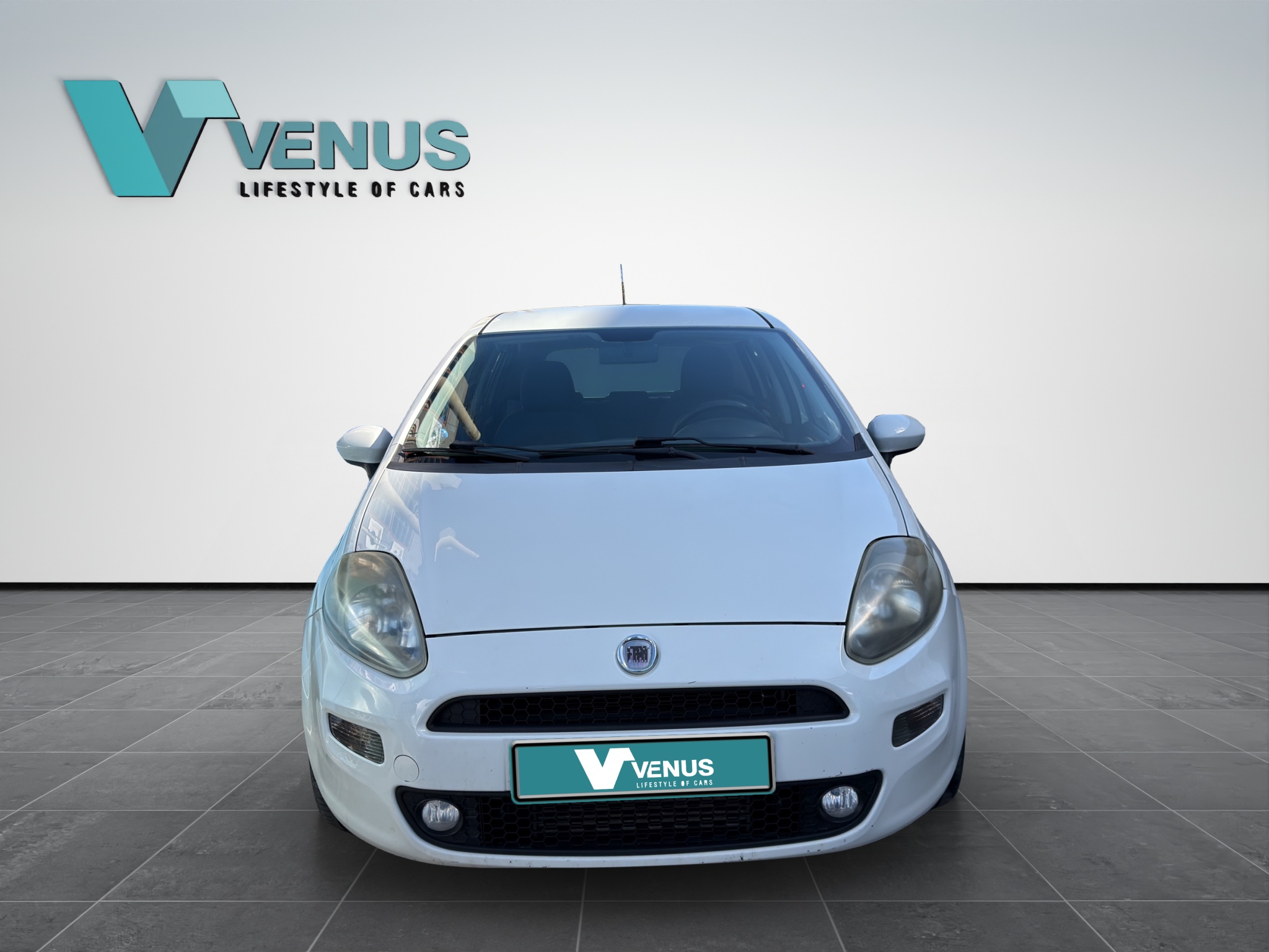 Fiat Punto 1.3 Multijet Diesel  2012 - 5