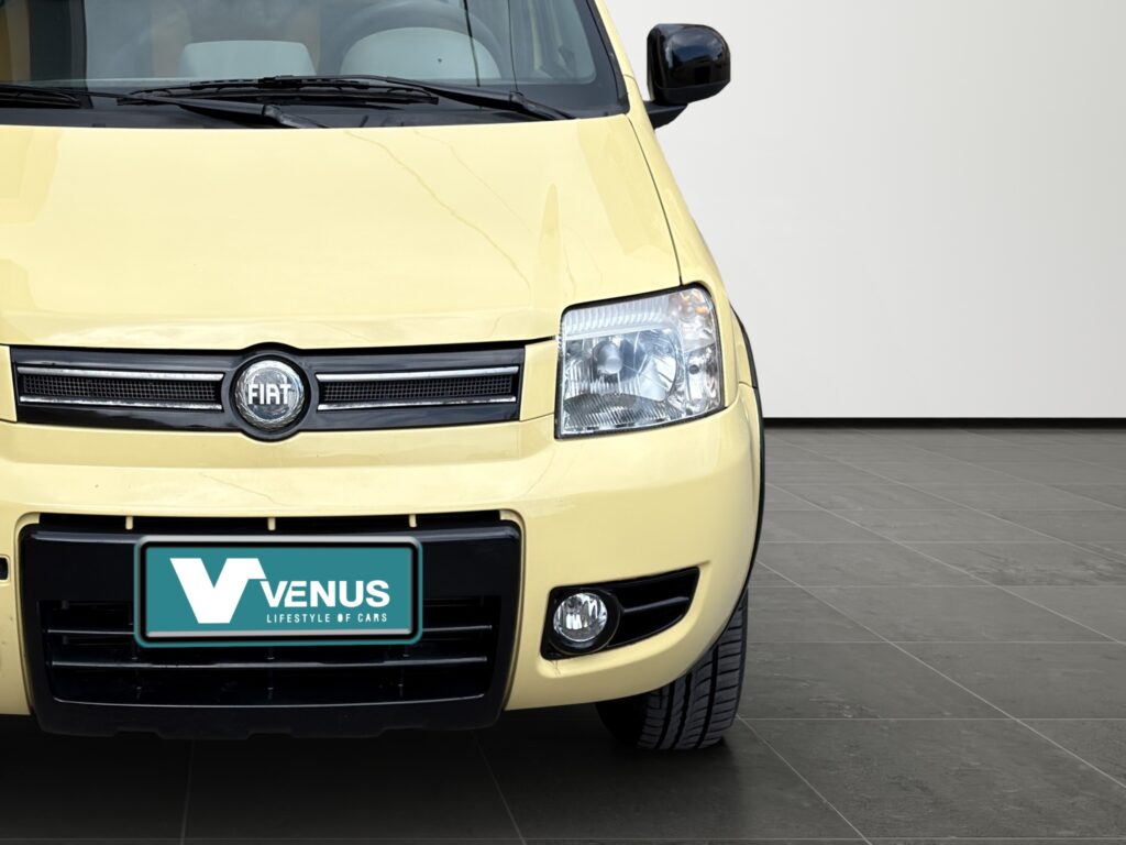 Fiat Panda 4x4 LPG 2006  - 10