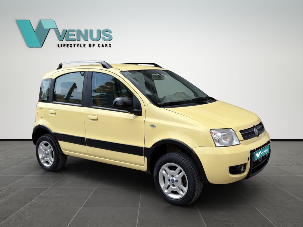 Fiat Panda 4x4 LPG 2006  - 2