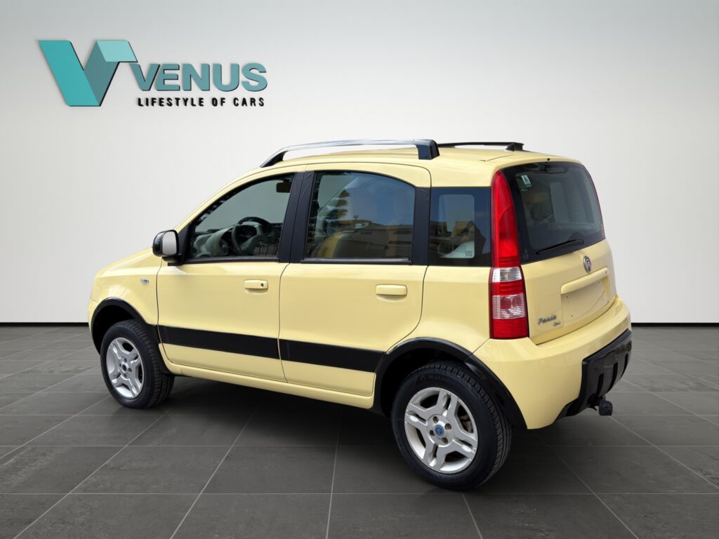 Fiat Panda 4x4 LPG 2006  - 3