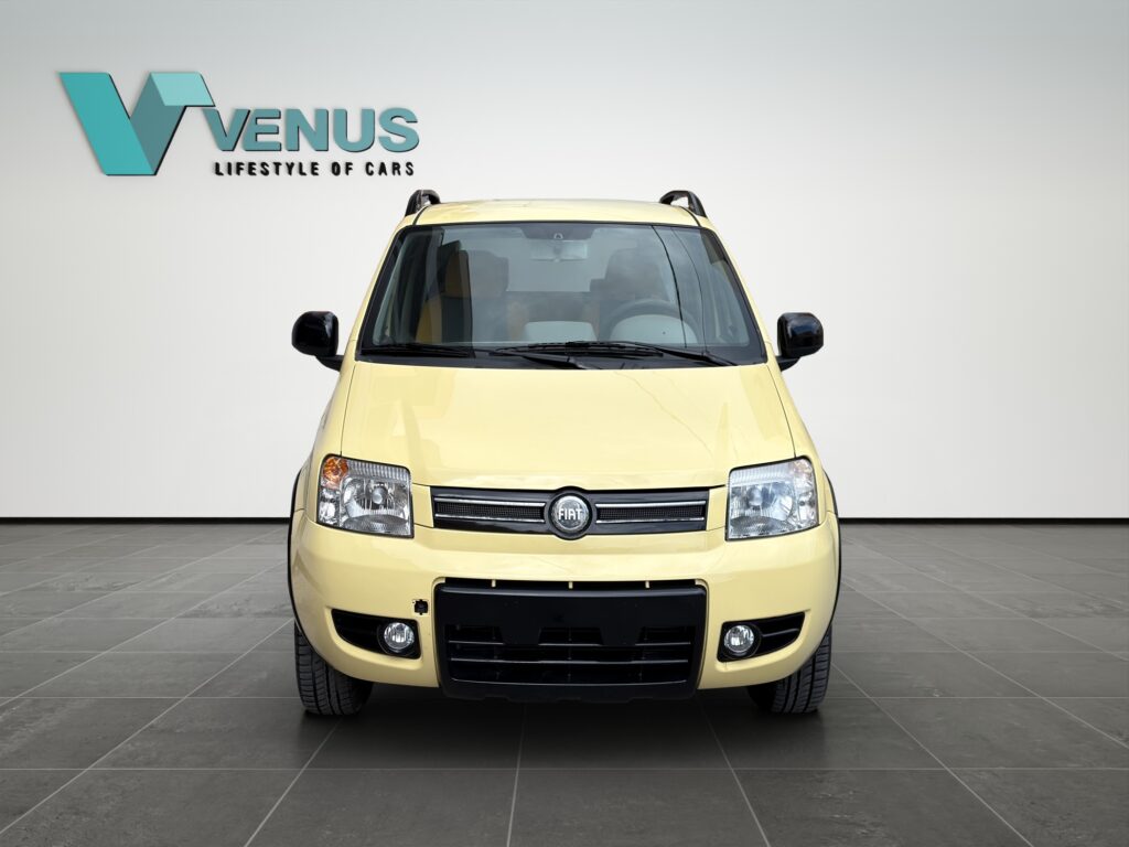 Fiat Panda 4x4 LPG 2006  - 5