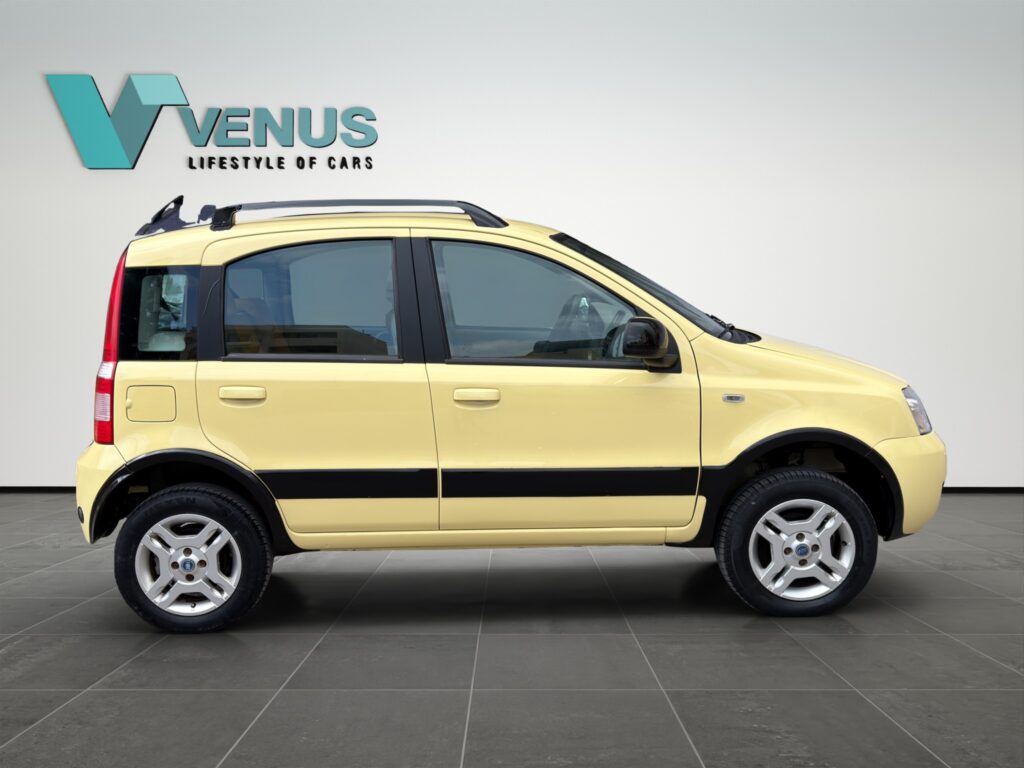 Fiat Panda 4x4 LPG 2006  - 7