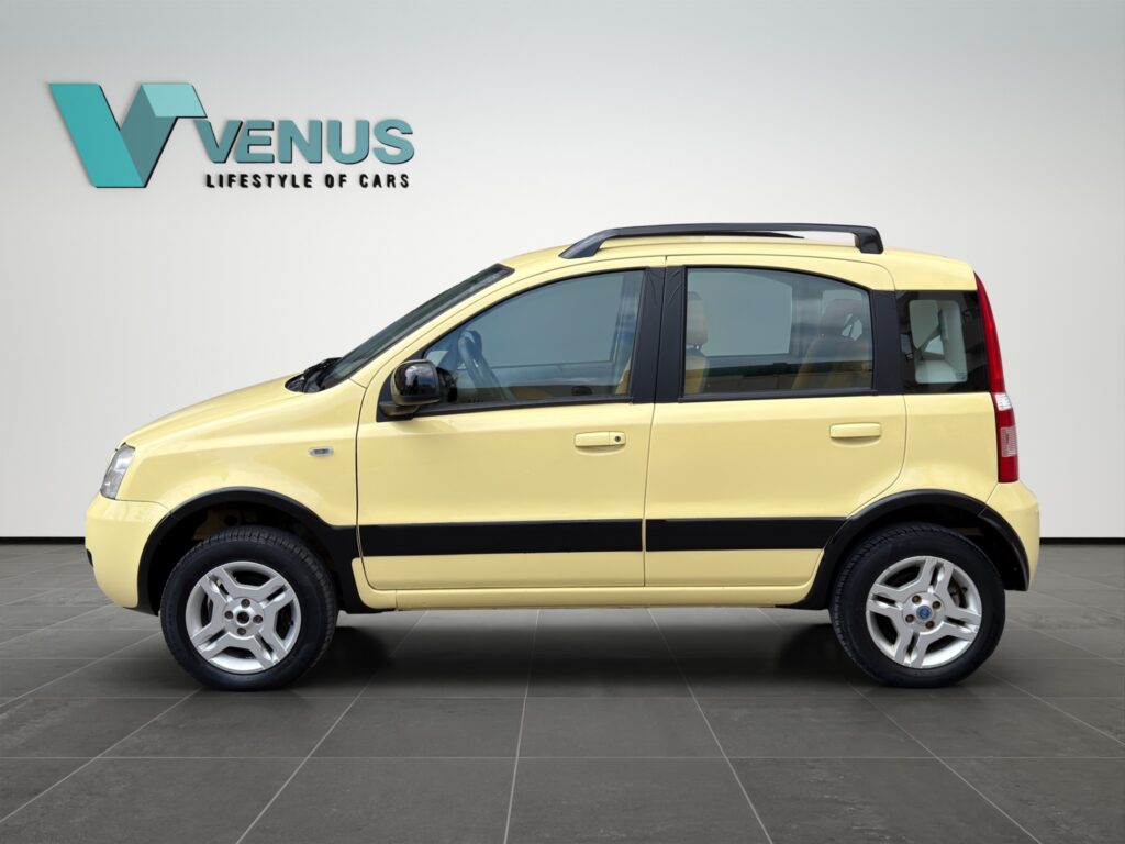 Fiat Panda 4x4 LPG 2006  - 8