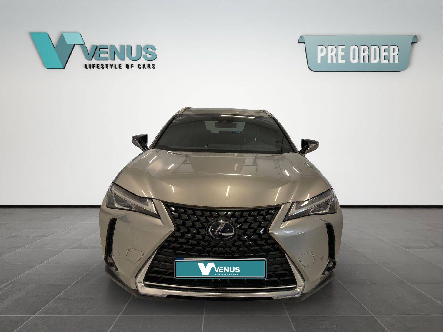Lexus UX-Serie UX 250h Luxe Hybrid Automatic 2020 - 5