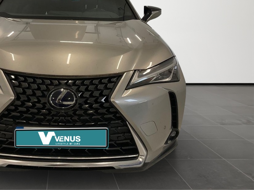 Lexus UX-Serie UX 250h Luxe Hybrid Automatic 2020 - 8