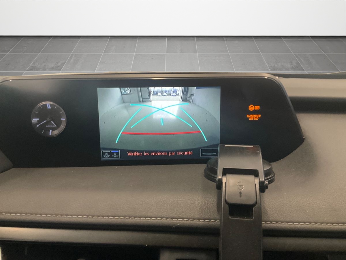 Lexus UX-Serie UX 250h Luxe Hybrid Automatic 2020 - 12